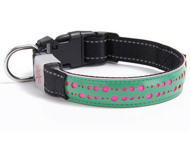 LED light collar pet collar