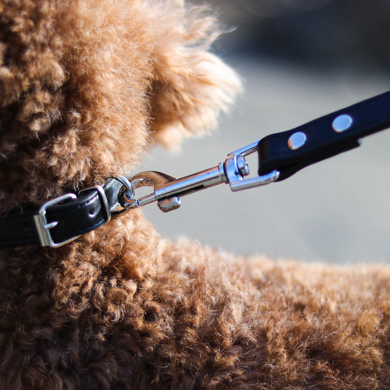 Pet leash collar